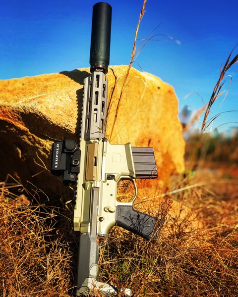 Q Honey Badger standing
